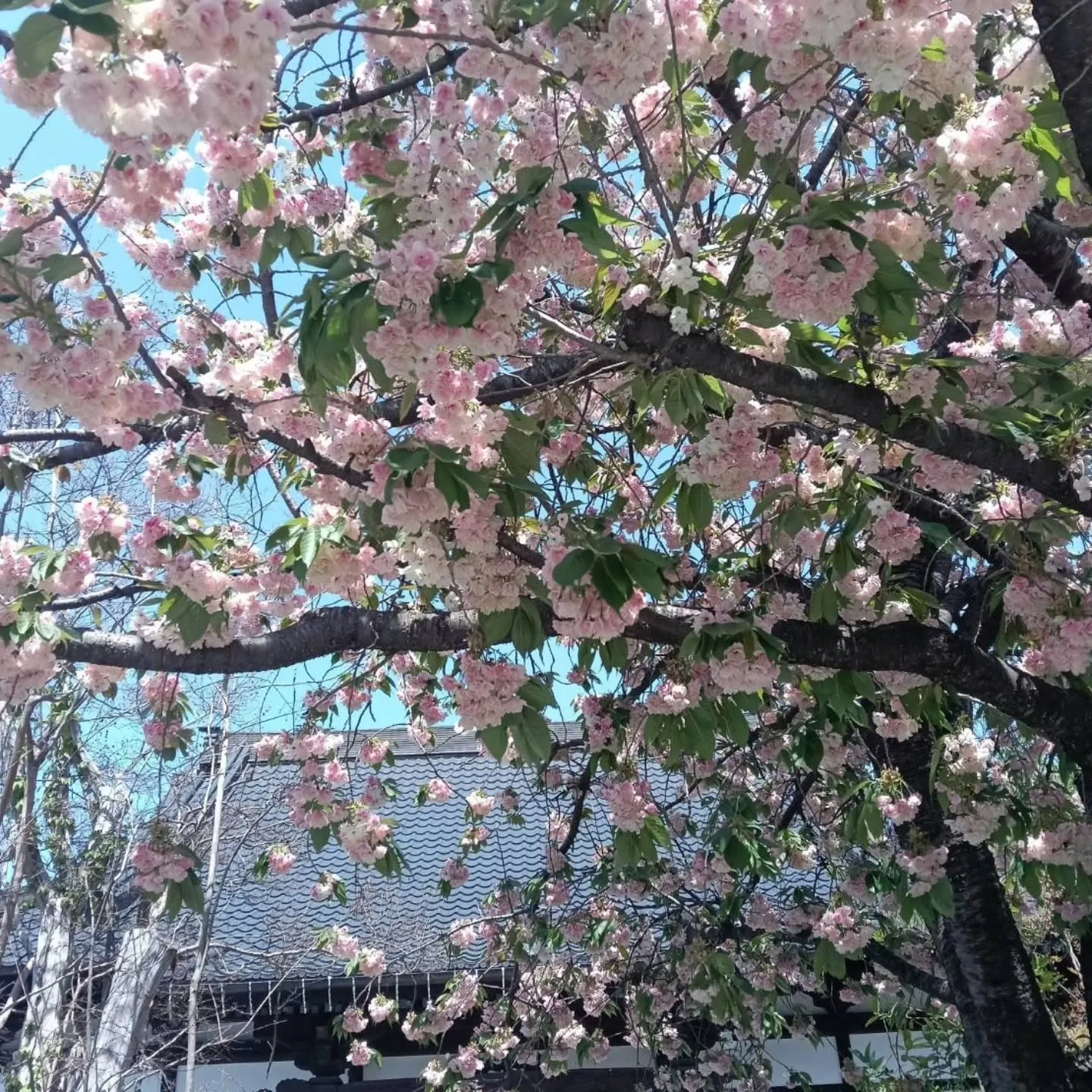 山形に行っ来ました☺️