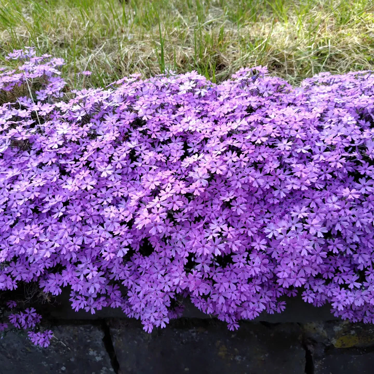山形に行っ来ました☺️