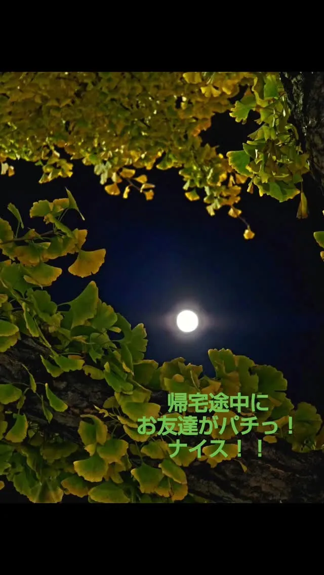 #美deクリニカル #巣鴨 #毛穴の黒ずみ #毛穴ケア #リ...